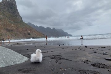 Erasmus+: Zážitkové vzdělávání na Tenerife a učení v pohybu