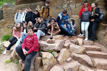 8.A v ZOO
